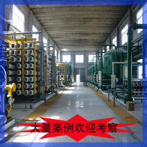 4x100t/h盤濾+UF+反滲透純水設備系統(tǒng)基本說明與技術服務體系